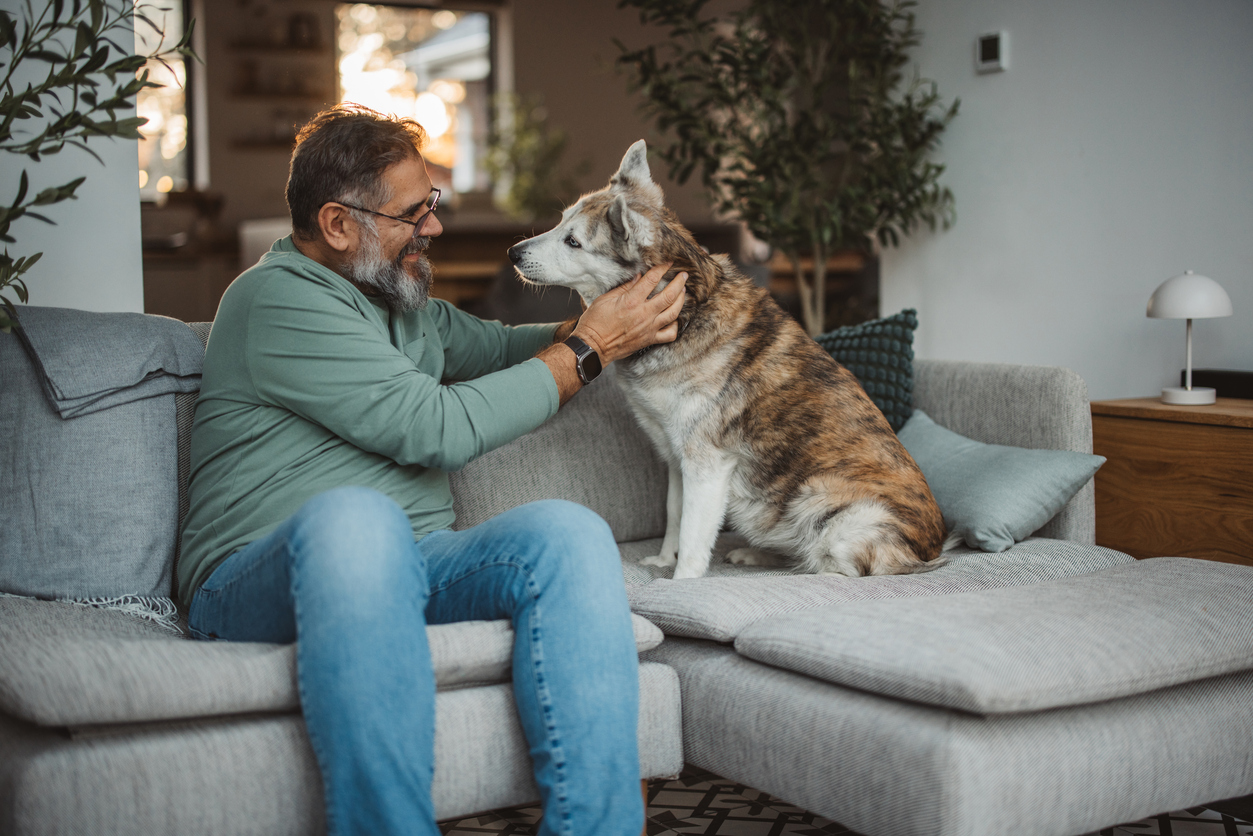 Your pets are like family here, Senior Living Tacoma Your pets are like family here, Senior Living Tacoma